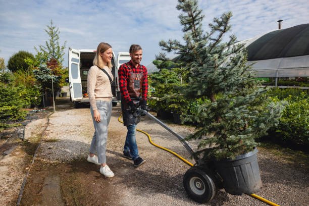 Tree Care Services